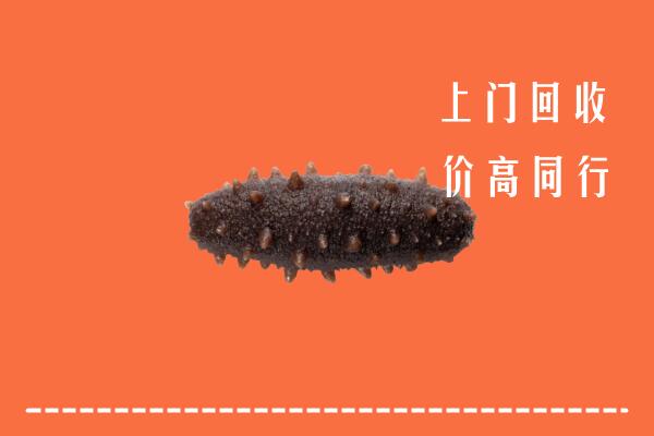 高价求购：海南陵水回收海参