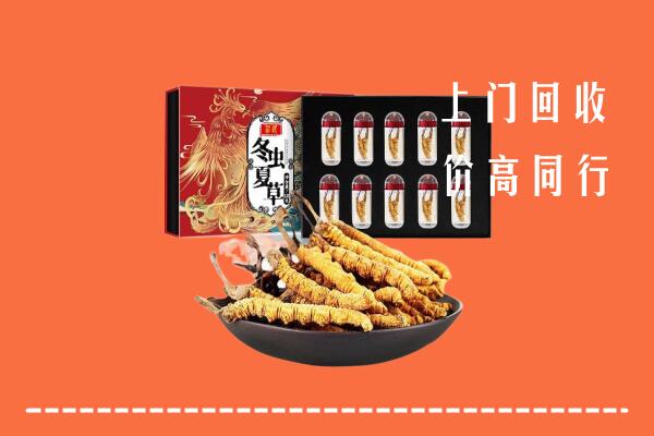 海南陵水回收虫草